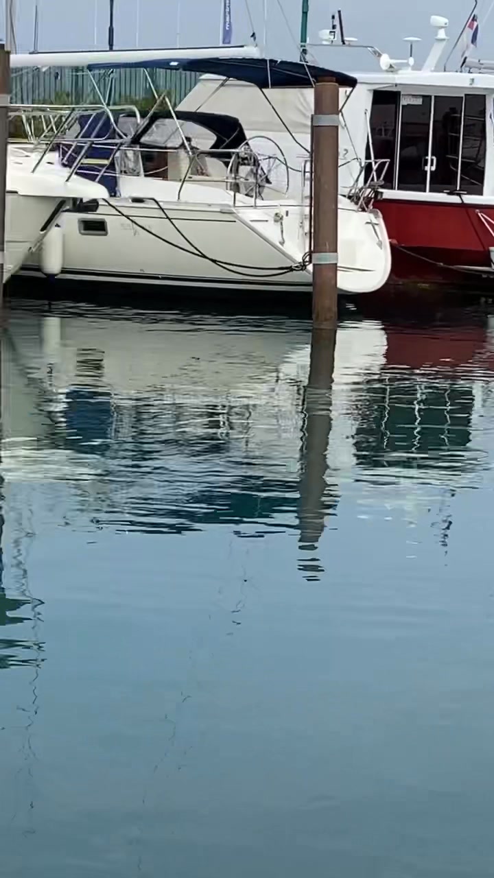 Veslaški klub Nautilus Koper
